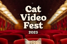 CatVideoFest 2023