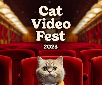 CatVideoFest 2023