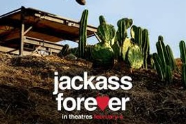 Affiche du film Jackass Forever Affiche du film Jackass Forever