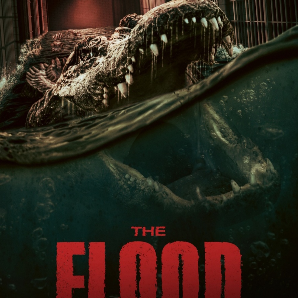 Affiche du film The Flood