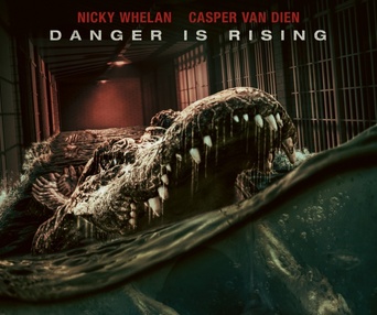 Affiche du film The Flood