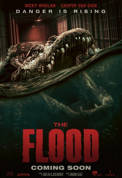 Affiche du film The Flood