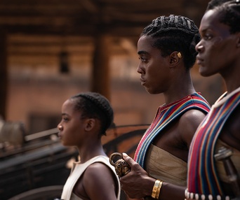 Image du film The Woman King
