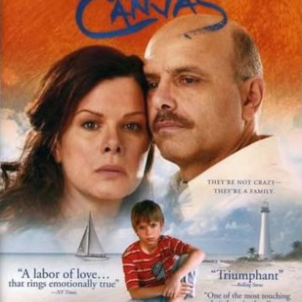 Affiche du film Canvas