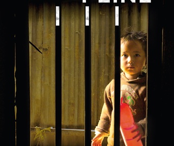 Affiche du film Double peine