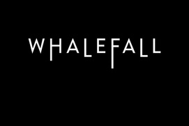 Affiche du film Whalefall