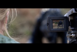 Image du film Xeno