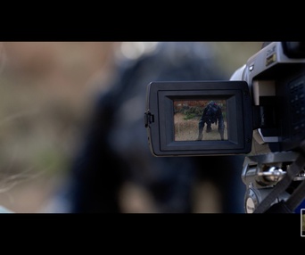 Image du film Xeno