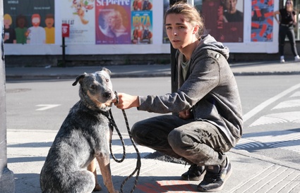 Yohan et Daisie dans Fugueuse la suite