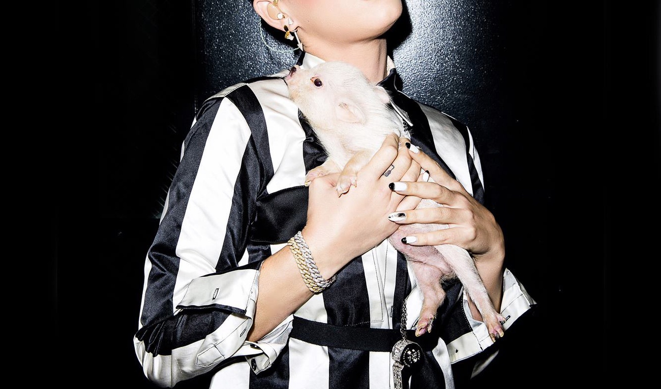 Le salaire astronomique de Katy Perry à American Idol fait jaser