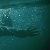 Une scène du film <em>Dark Nature</em>
