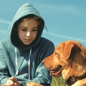 Une scène du film <em>White God</em>