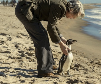Images du film The Penguin Lessons
