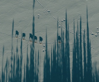 Image du film Murmures