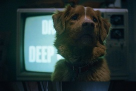 Image du film Good Boy Image du film Good Boy