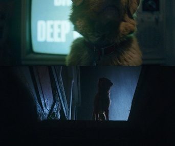 Image du film Good Boy