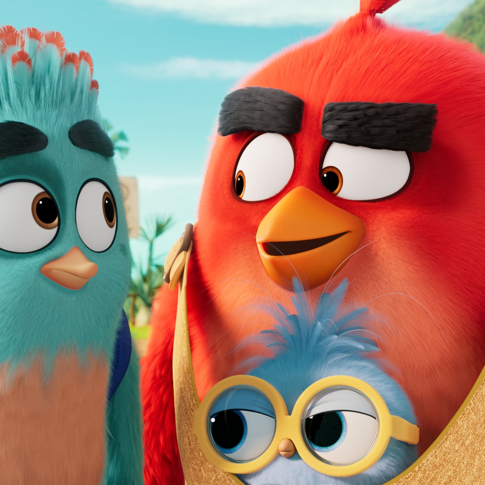 Image du film The Angry Birds 3