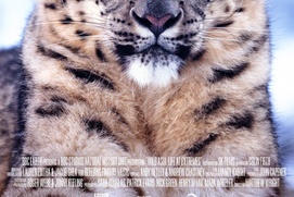Image du film Wild Asia Image du film Wild Asia