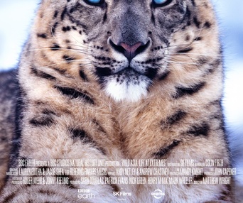 Image du film Wild Asia