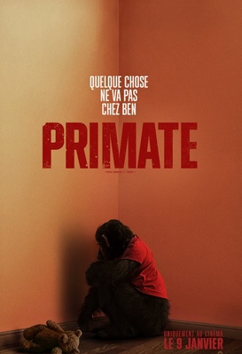 Primate