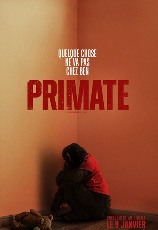 Primate