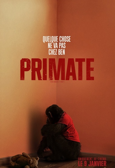 Primate