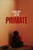 Affiche du film Primate