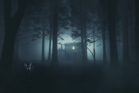Affiche du film Shelby Oaks