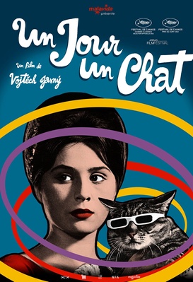 Un jour un chat