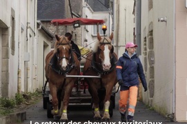 Affiche du film Au son des sabots