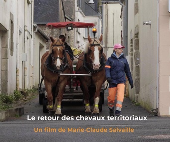 Affiche du film Au son des sabots