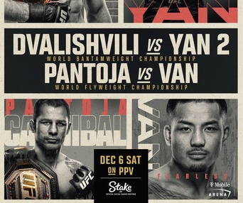 Image du film UFC 323