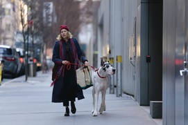 Images du film The Friend Images du film The Friend