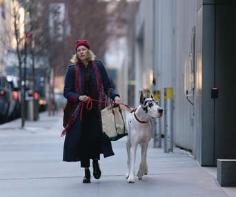 Images du film The Friend