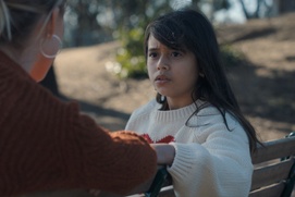 Image du film The Hand That Rocks the Cradle