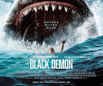 Image film The Black Demon