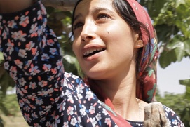 Une scène du film Under the Fig Trees