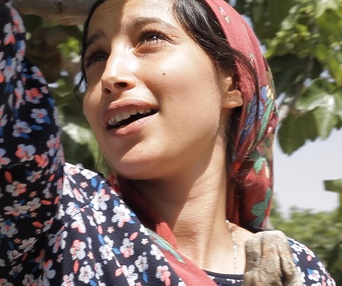 Une scène du film Under the Fig Trees