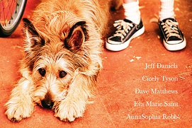 Affiche du film Because of Winn-Dixie
