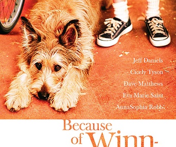 Affiche du film Because of Winn-Dixie