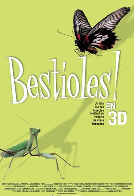 Bestioles 3D