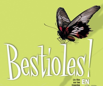 Affiche du film Bestioles en 3D