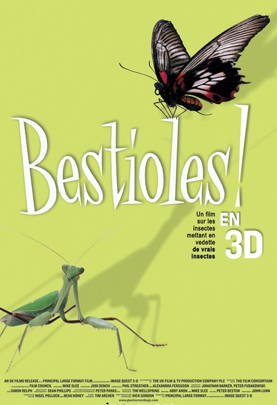 Affiche du film Bestioles en 3D