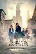 Affiche du film Les animaux fantastiques