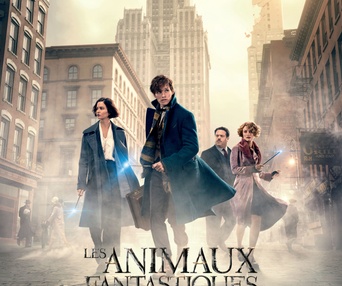 Affiche du film Fantastic Beasts and Where to Find Them