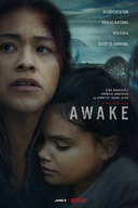 Affiche du film Un éveil de plomb