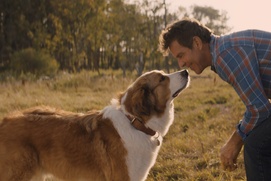 Une scène du film A Dog's Journey Une scène du film A Dog's Journey