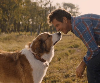 Une scène du film A Dog's Journey