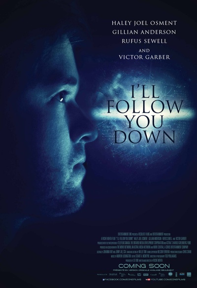 Affiche du film I'll follow you down