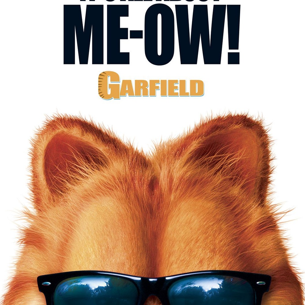 Affiche du film Garfield